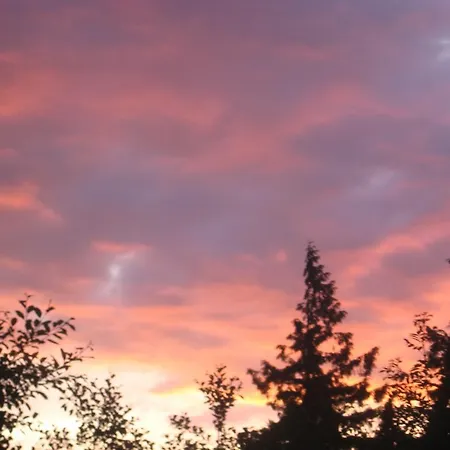 Bed and breakfast Amber 3*